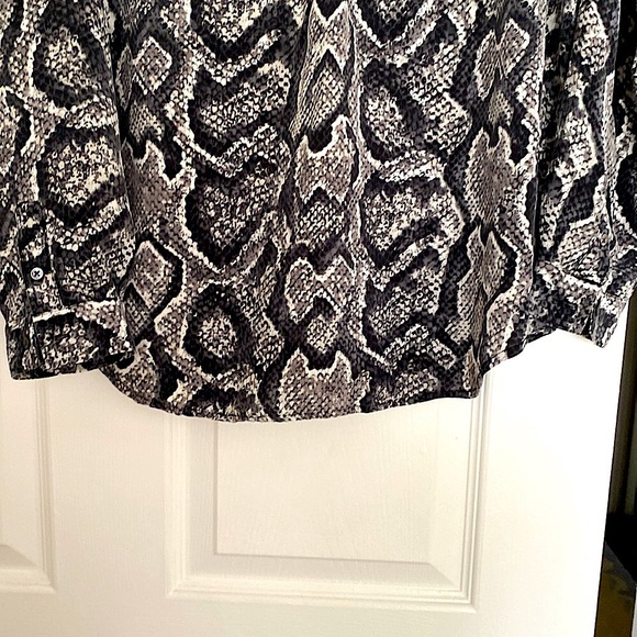 Joie silk vneck pullover blouse, long sleeves and buttons around wrist. Gorgeous - Picture 4 of 12